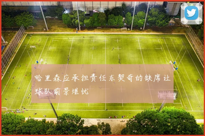 哈里森应承担责任东契奇的缺席让球队前景堪忧