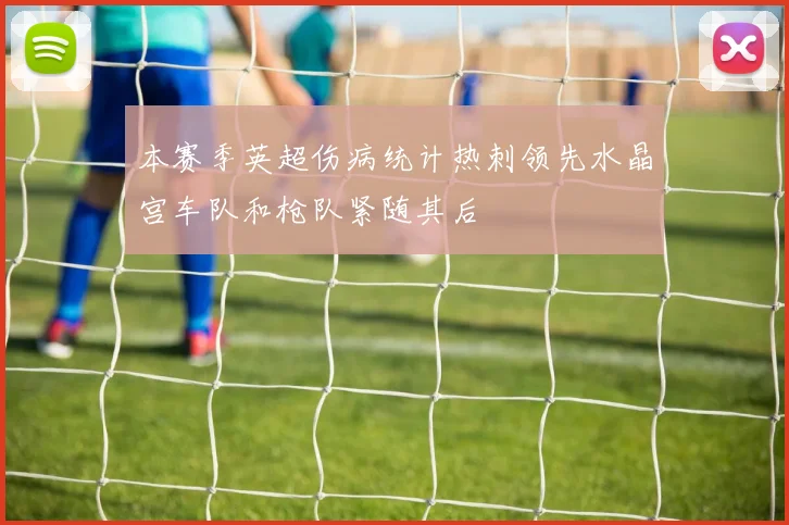 本赛季英超伤病统计热刺领先水晶宫车队和枪队紧随其后